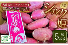 004-1304 シルク姫 約5kg（A品） さつまいも いも イモ 芋 シルクスイート 国産 常温 大分県 豊後大野市 【2025年9月上旬～2026年5月下旬発送予定】