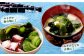 081-1312 九州産 カットわかめ 20g×5袋 計100g