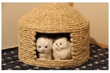 愛猫の和風高級マンション！国東猫ちぐら（ダブル）・通_I29001