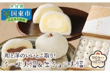 和と洋のいいとこ取り！チーズ大福＆生チョコ大福（計20個）・通_29234A