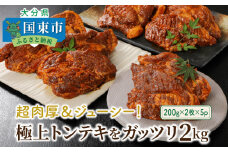 超肉厚＆ジューシー！極上トンテキをガッツリ2kg_1081Z
