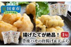 揚げたてが絶品！豊後ハモの唐揚げ＆天ぷら/1kg_0274N