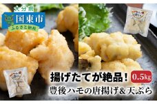 揚げたてが絶品！豊後ハモの唐揚げ＆天ぷら/0.5kg_0275N