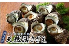 漁師直送!天然活さざえ1.3kg_1067R