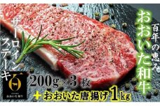 おおいた和牛サーロイン200g×3+鶏唐揚げ1kg_1089R