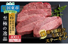 【A4～A5等級】おおいた和牛 ミスジ ステーキ 100g×4枚（合計400g）_1103R