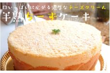 ポールリカールのくにさき半熟ちーずケーキ_1164R