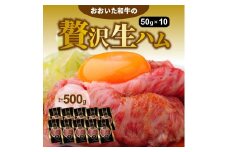 おおいた和牛の贅沢生ハム500g_1221R