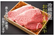 冷蔵発送/豊後牛サーロイン＆ヒレステーキ計620g_1226R
