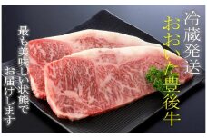 冷蔵発送/豊後牛サーロインステーキ計360g_1227R