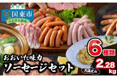 大満足2.28kg!おおいた味力ソーセージセット_1307R