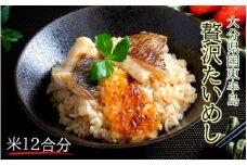 国東鯛めしの素/お米12合分_1316R