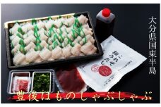 豊後はものしゃぶしゃぶ300gセット_1319R