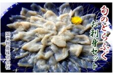 旬のとらふぐ贅沢お刺身セット※ふぐヒレ付き_1470R