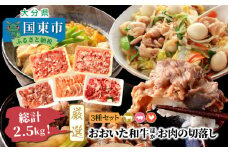 【A4～A5等級】総計2.5kg!おおいた和牛ほか厳選お肉の切落し3種セット_1476R