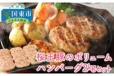 桜王豚のボリュームハンバーグ2kgセット_1486R