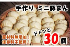 豚まん職人手作りの「ミニ豚まん30個」_1489R