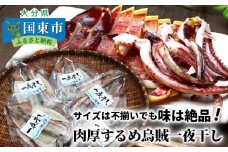 サイズは不揃いでも味は絶品!肉厚するめ烏賊一夜干し_1511R
