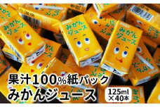 【数量限定】 果汁100％紙パック みかんジュース125ml×40本 オレンジジュース_1521R
