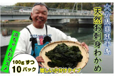 小分けでお届け！天然お刺身わかめ100g×10パック_1526R