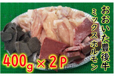 おおいた豊後牛ミックスホルモン800ｇ_1617R