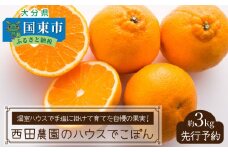 【先行予約】西田農園のハウスでこぽん(不知火)約3kg_1272R