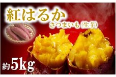 【令和6年12月中旬から発送】大分県産紅はるか（生芋）約5kg_1706R