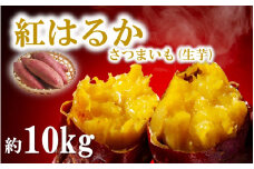 【令和6年12月中旬から発送】大分県産紅はるか（生芋）約10kg_1707R