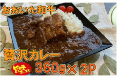 おおいた和牛の贅沢カレー 2パック_1725R