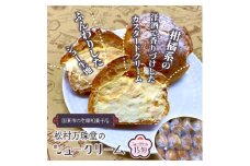 50年変わらない味！地元で人気のシュークリーム15個_1756R