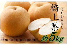 【先行予約】令和7年発送 /辰口農園の橋上梨約5kg（品種:幸水/秋麗）_1018R