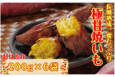 長期熟成！極甘しっとり焼いも/紅はるか1.2kg_1782R