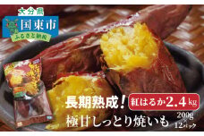 長期熟成！極甘しっとり焼いも/紅はるか2.4kg_1783R