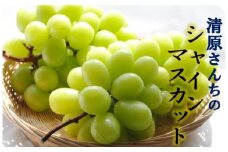 【先行予約】清原さんちのシャインマスカット1.5kg_1583R