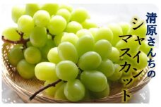 【先行予約】清原さんちのシャインマスカット 約1.5kg_1583R