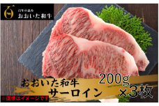冷蔵発送/おおいた和牛サーロインステーキ600ｇ_1792R