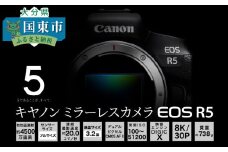 【Canon】 キヤノン ミラーレス カメラ EOS R5 ボディー キャノン 一眼 家電_0005C