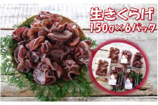 【希少/申込9月15日まで】純国産 生きくらげ900g（150ｇ×6パック）_1798R