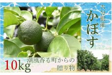 【令和7年9月初旬から発送】潮風香る町の贈り物 大分県産かぼす10kg_1817R