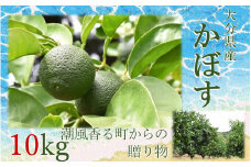 【令和7年9月初旬から発送】潮風香る町の贈り物 大分県産かぼす10kg_1817R