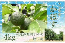 【令和7年9月初旬から発送】潮風香る町の贈り物 大分県産かぼす4kg_1816R