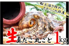 船上活き締め！生たこ丸ごと約1kg（約1～４杯）_1810R