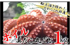 船上活き締め！ゆでたこ丸ごと約1kg（約1～４杯）_1812R