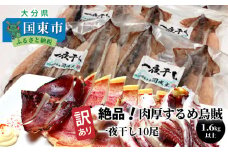 【訳あり】絶品！肉厚するめ烏賊一夜干したっぷり10尾（1.6kg以上） _1836R