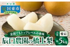 【先行予約】令和7年発送 /辰口農園の橋上梨約5kg(品種:愛宕)_1303R