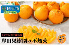 【先行予約】トンネルで貯蔵熟成/岸田果樹園の不知火 約2.7kg 令和7年2月下旬より出荷開始 _1439R