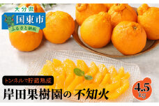 【先行予約】トンネルで貯蔵熟成/岸田果樹園の不知火 約4.5kg 令和7年2月より出荷開始_1440R