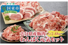 大分県産豚わんぱく元気セット2.6kg_1827R