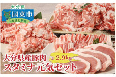 大分県豚肉スタミナ元気セット2.9kg_1829R