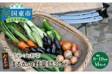 まるかの無農薬野菜詰合せ M_1877R
